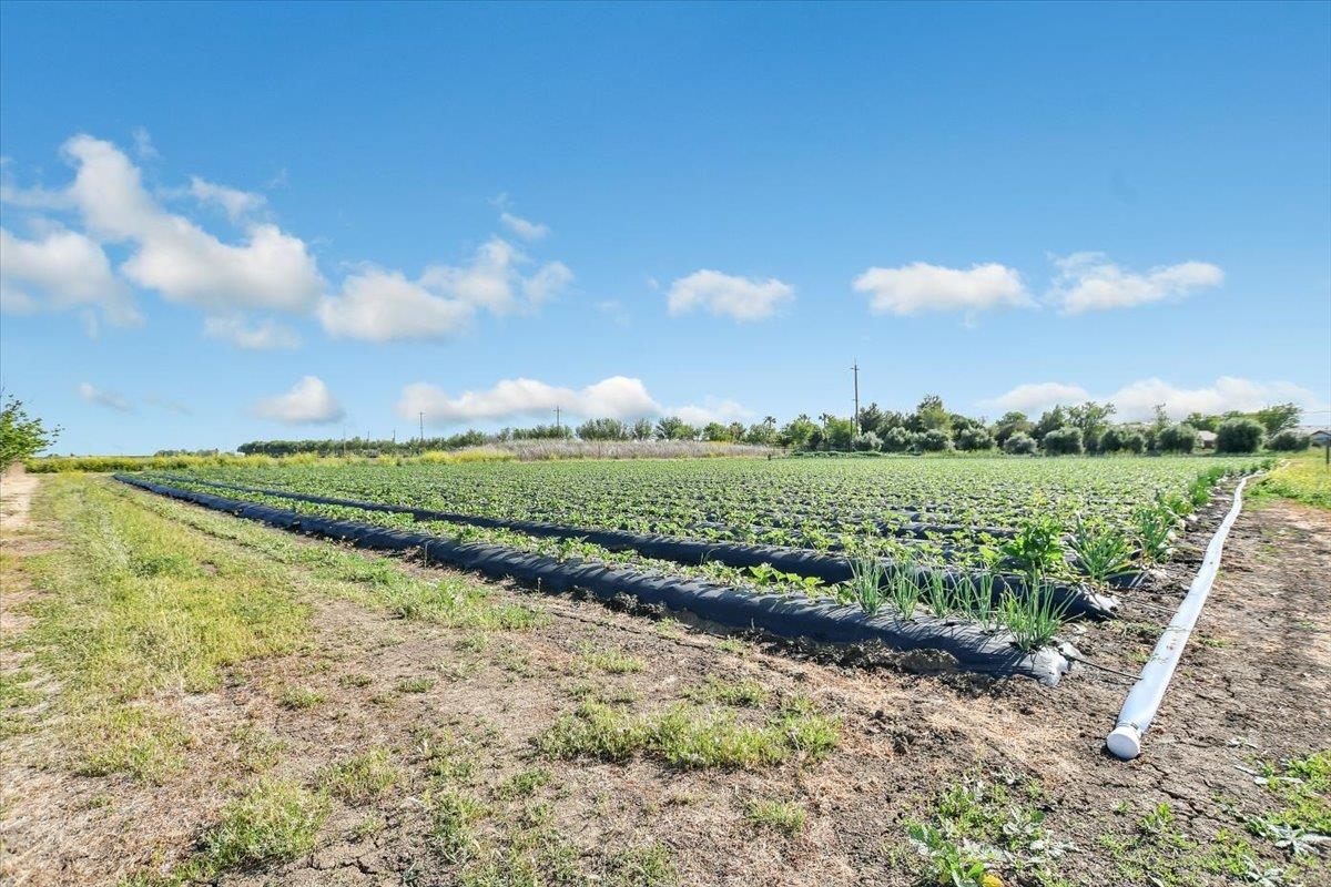 Detail Gallery Image 32 of 47 For 8091 Balfour Rd, Brentwood,  CA 94513 - – Beds | – Baths