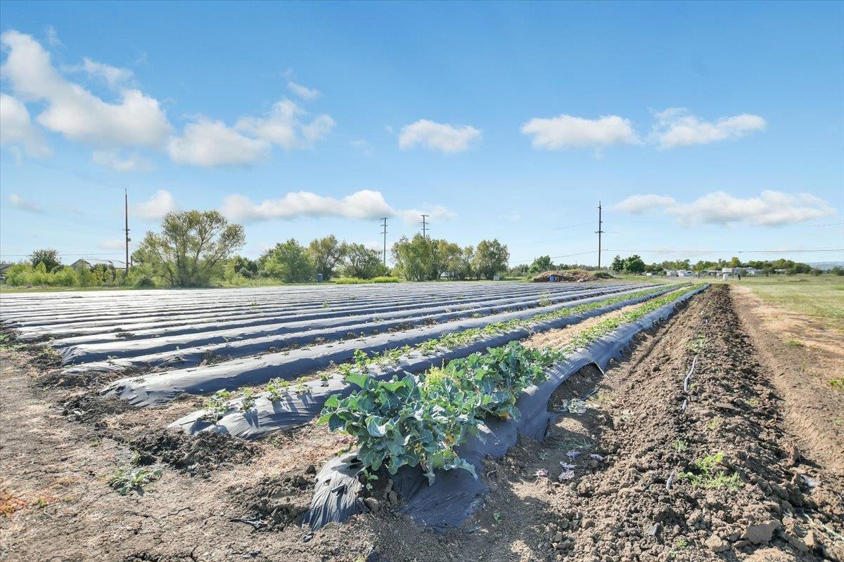 Detail Gallery Image 34 of 47 For 8091 Balfour Rd, Brentwood,  CA 94513 - – Beds | – Baths