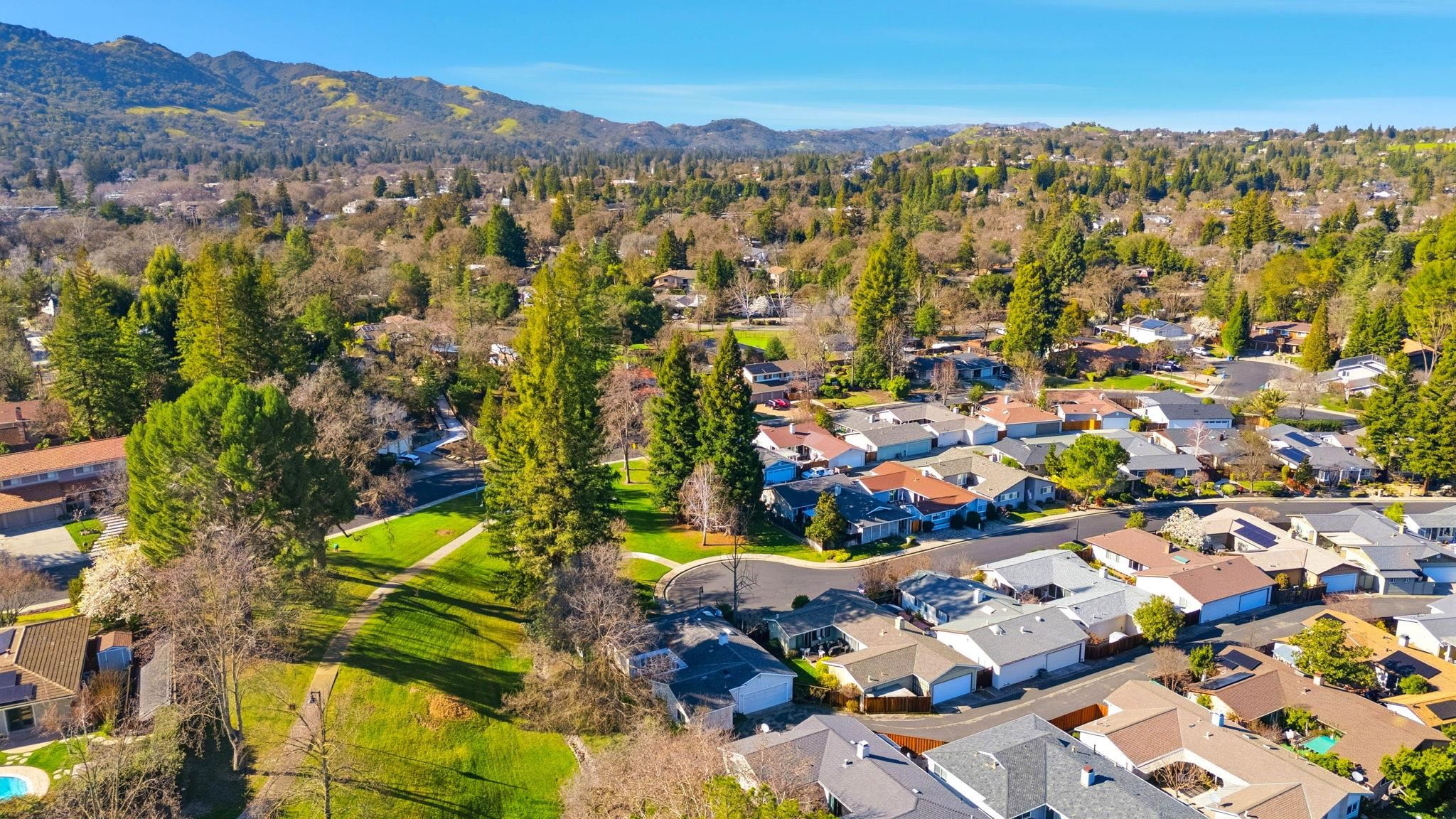 Detail Gallery Image 35 of 40 For 851 Luz Ct, Danville,  CA 94526 - 3 Beds | 2 Baths