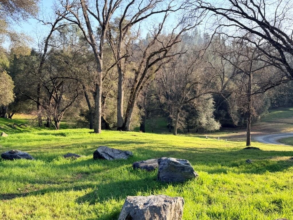 Detail Gallery Image 11 of 43 For 19691 Ferretti Rd, Groveland,  CA 95321 - – Beds | – Baths