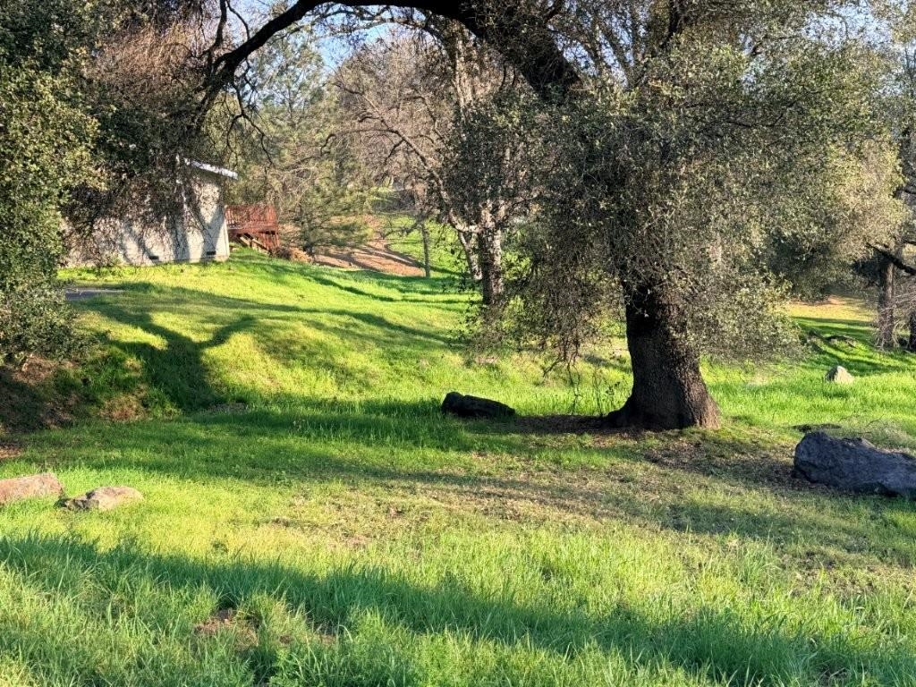 Detail Gallery Image 13 of 43 For 19691 Ferretti Rd, Groveland,  CA 95321 - – Beds | – Baths