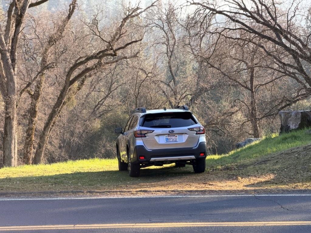 Detail Gallery Image 3 of 43 For 19691 Ferretti Rd, Groveland,  CA 95321 - – Beds | – Baths