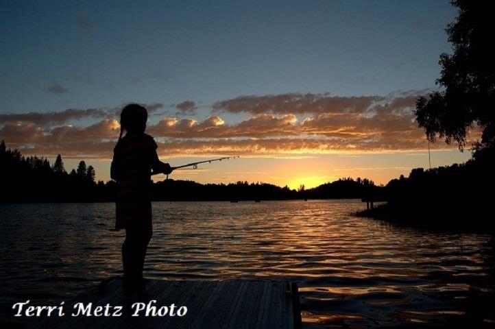 Detail Gallery Image 21 of 43 For 19691 Ferretti Rd, Groveland,  CA 95321 - – Beds | – Baths