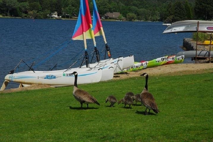 Detail Gallery Image 24 of 43 For 19691 Ferretti Rd, Groveland,  CA 95321 - – Beds | – Baths