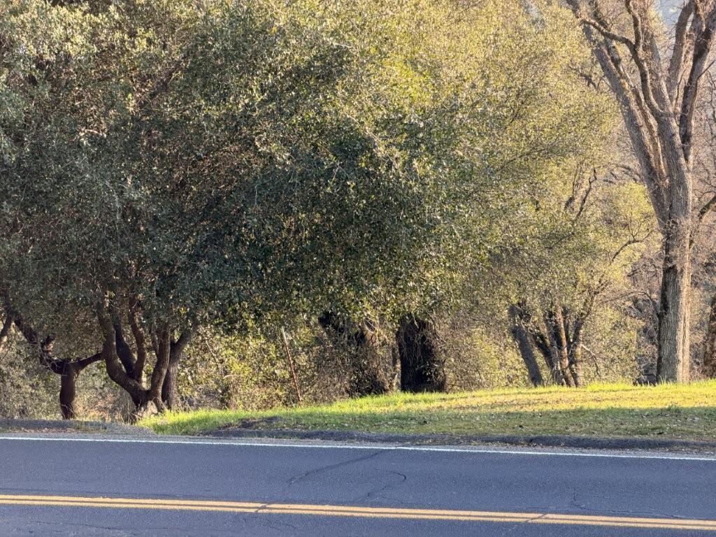 Detail Gallery Image 5 of 43 For 19691 Ferretti Rd, Groveland,  CA 95321 - – Beds | – Baths