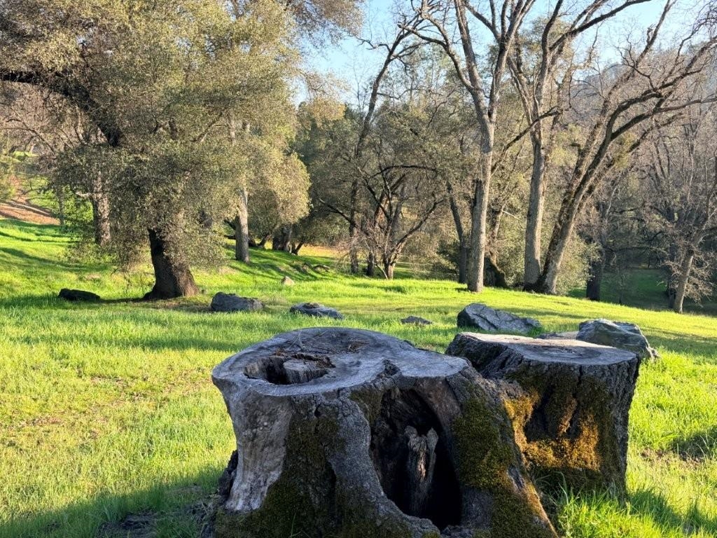 Detail Gallery Image 6 of 43 For 19691 Ferretti Rd, Groveland,  CA 95321 - – Beds | – Baths