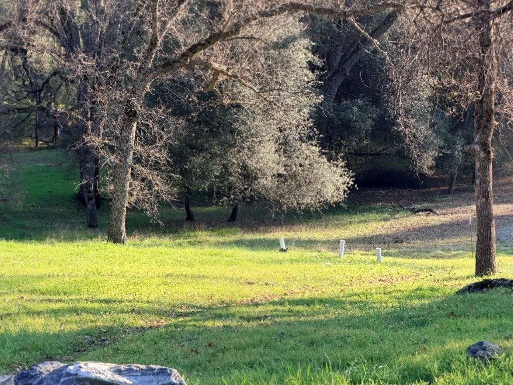 Detail Gallery Image 9 of 43 For 19691 Ferretti Rd, Groveland,  CA 95321 - – Beds | – Baths