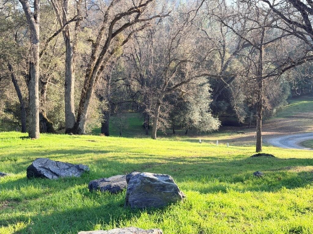 Detail Gallery Image 10 of 43 For 19691 Ferretti Rd, Groveland,  CA 95321 - – Beds | – Baths