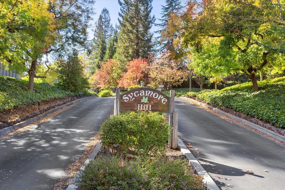 Photo #3: 41123007 Listing: Photo #3