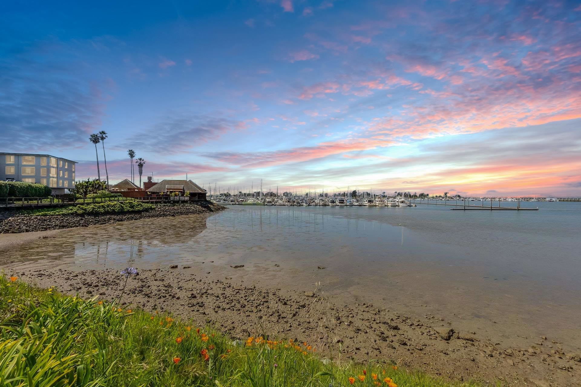 Photo #36: 41123017 Listing: Photo #36