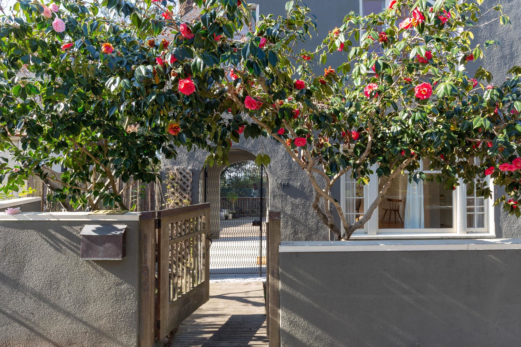 Detail Gallery Image 22 of 24 For 1106 Cragmont Ave, Berkeley,  CA 94708 - 2 Beds | 1 Baths