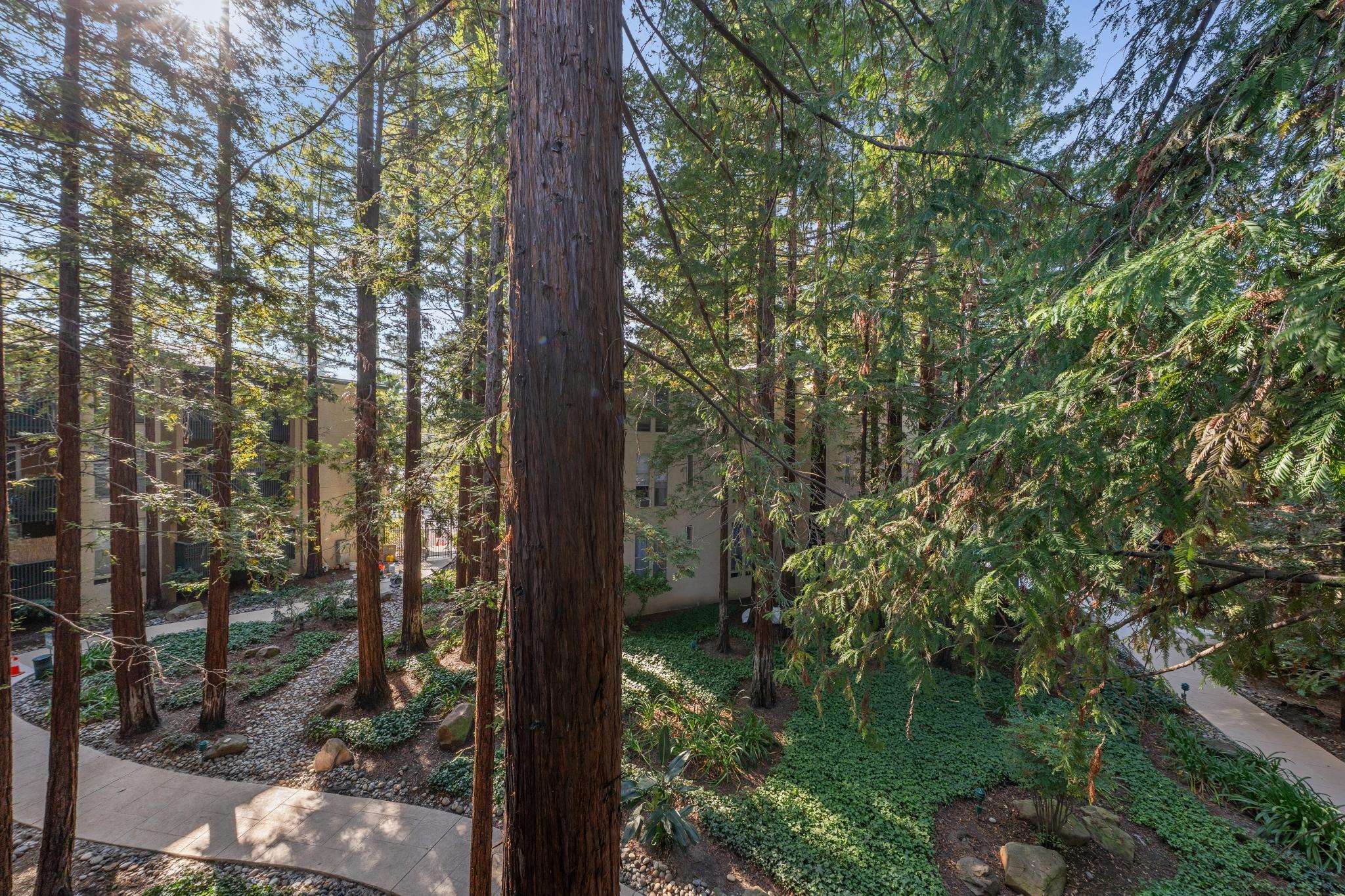 Detail Gallery Image 27 of 34 For 175 Sierra Dr #308,  Walnut Creek,  CA 94596 - 2 Beds | 1 Baths