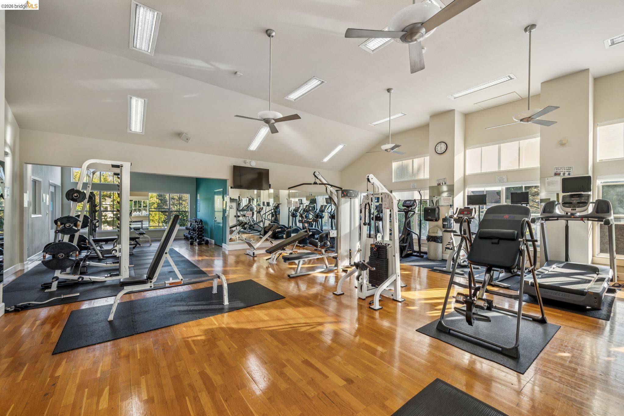 Photo #46: 41123041 Listing: Photo #46