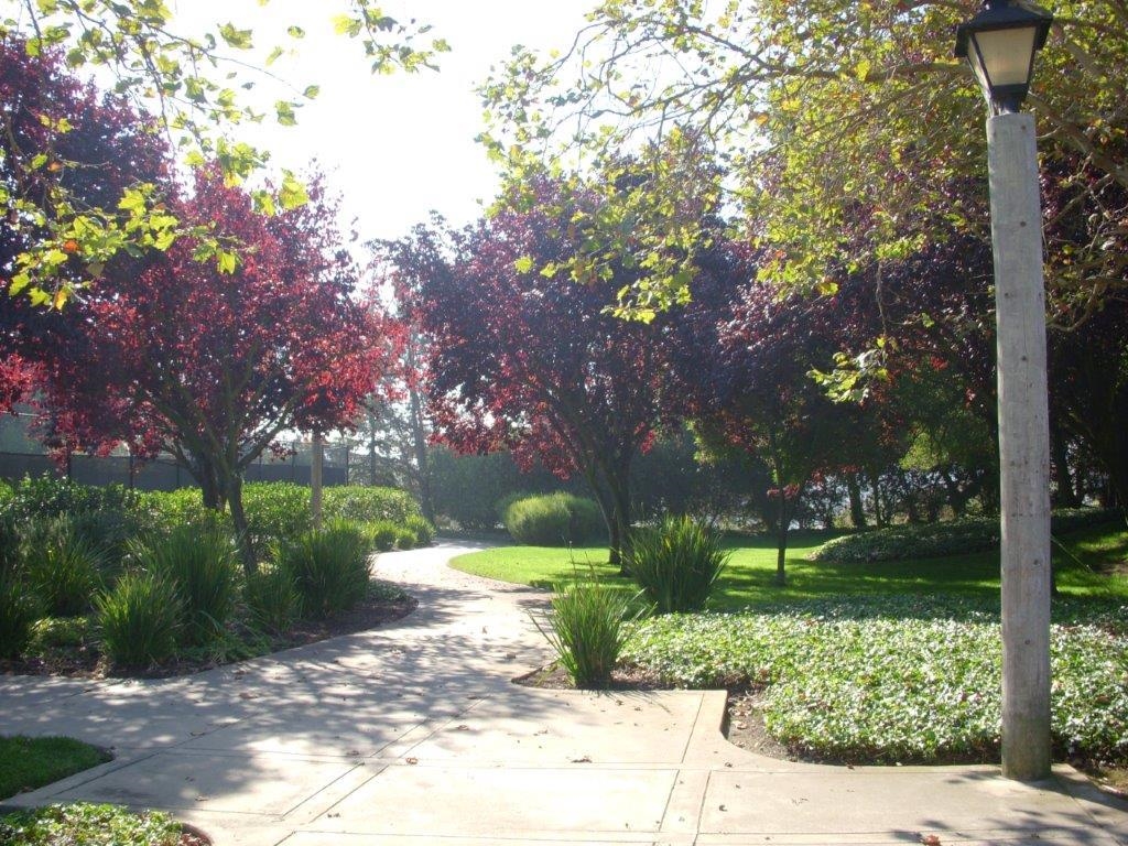 Detail Gallery Image 56 of 60 For 20946 Elbridge Ct, Castro Valley,  CA 94552 - 4 Beds | 3 Baths