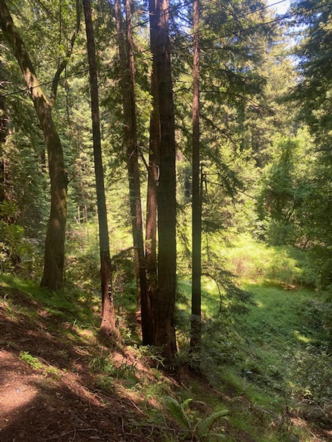 Detail Gallery Image 3 of 4 For 2 Wainwright Pl, Mill Valley,  CA 94941 - – Beds | – Baths