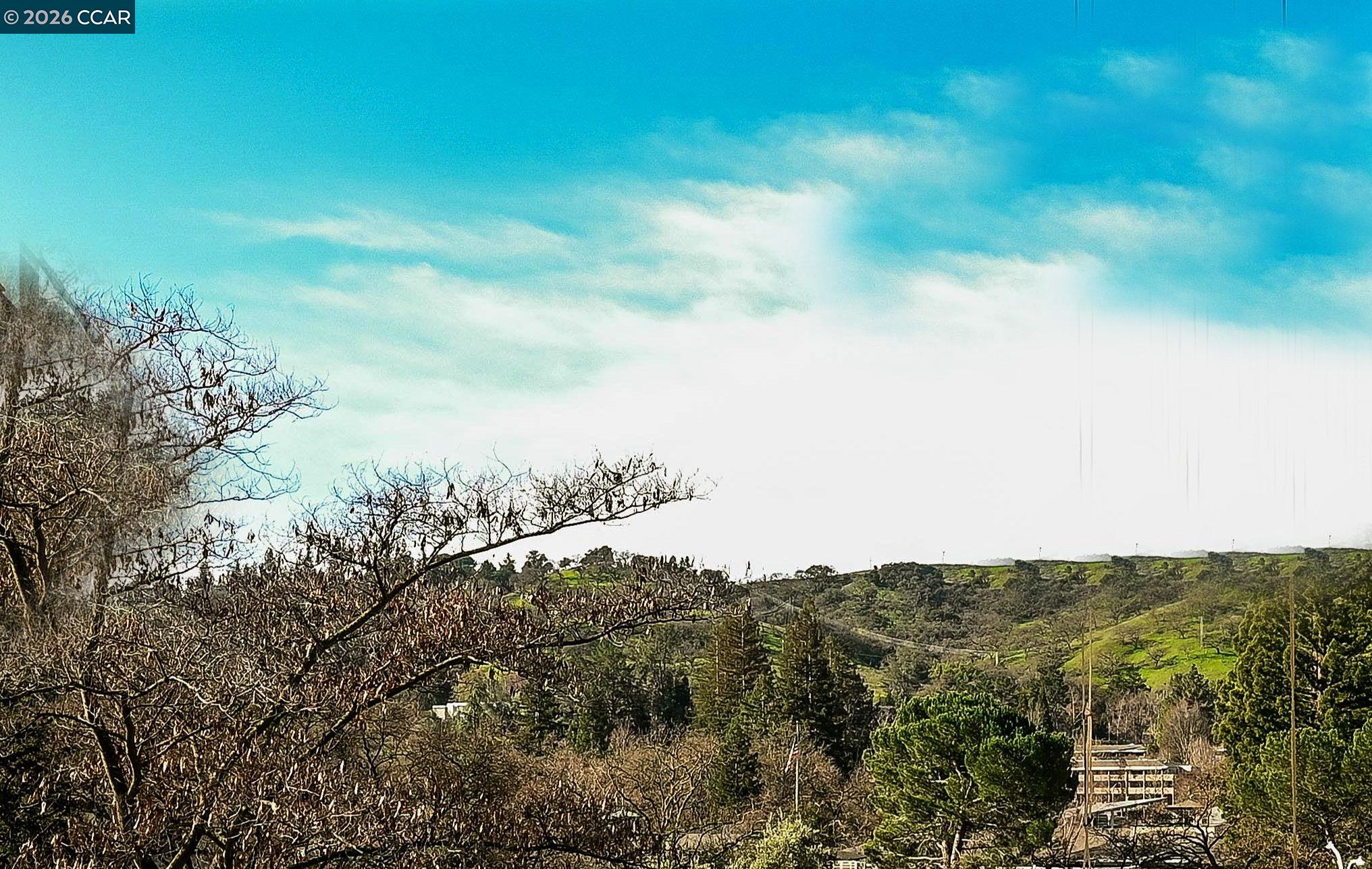 Detail Gallery Image 10 of 45 For 2105 Cactus Ct #3,  Walnut Creek,  CA 94595 - 2 Beds | 2 Baths