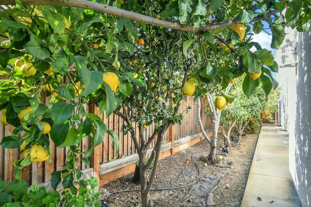 Detail Gallery Image 23 of 25 For 1045 Martinez Dr, Brentwood,  CA 94513 - 5 Beds | 5/1 Baths