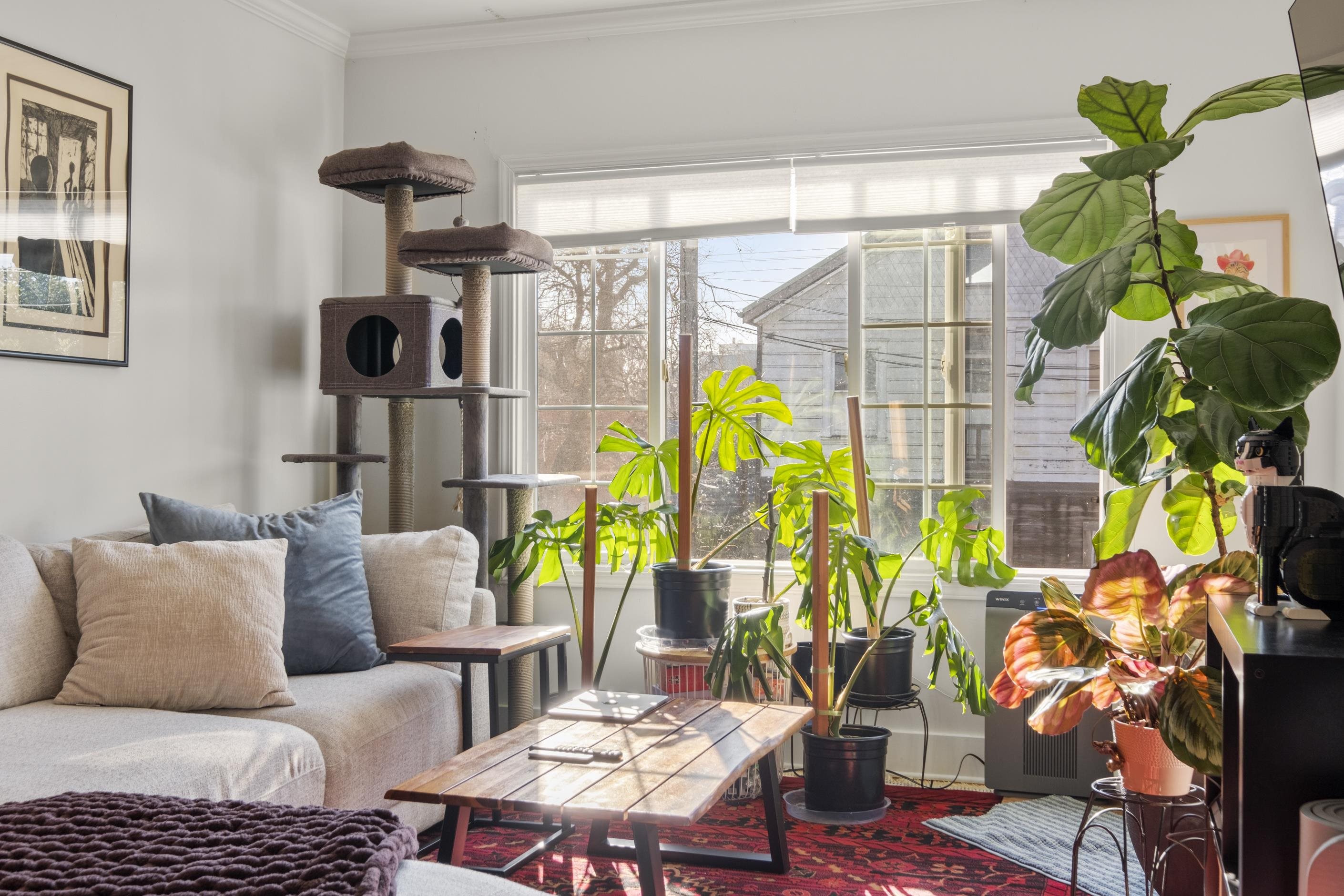 Detail Gallery Image 13 of 25 For 1039 Channing Way, Berkeley,  CA 94710 - – Beds | – Baths