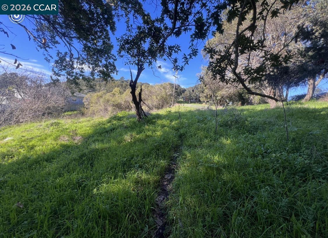 Detail Gallery Image 4 of 10 For Sobrante Ave, El Sobrante,  CA 94803 - – Beds | – Baths