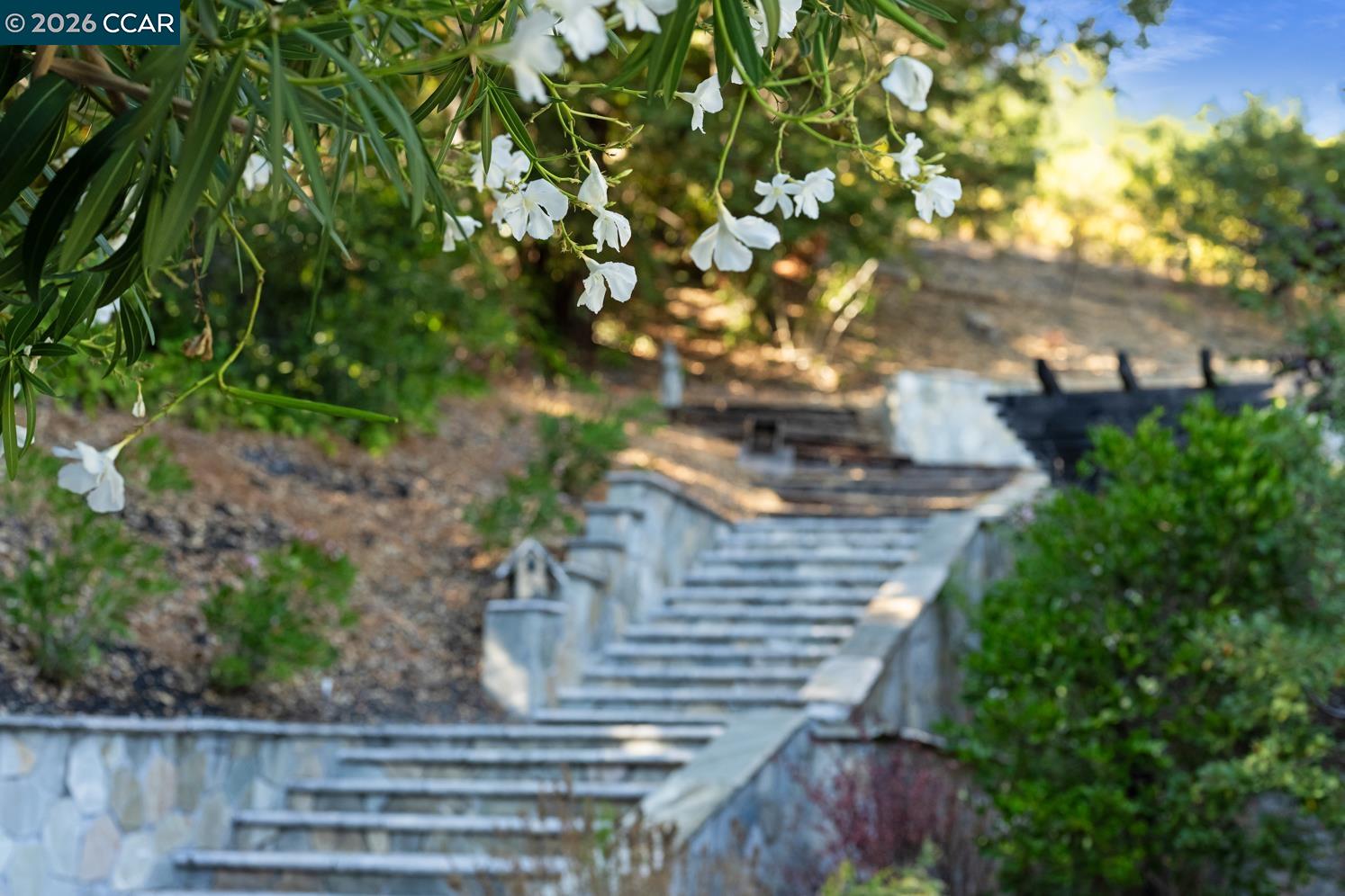 Detail Gallery Image 29 of 60 For 3898 Happy Valley Rd, Lafayette,  CA 94549 - 5 Beds | 4/3 Baths