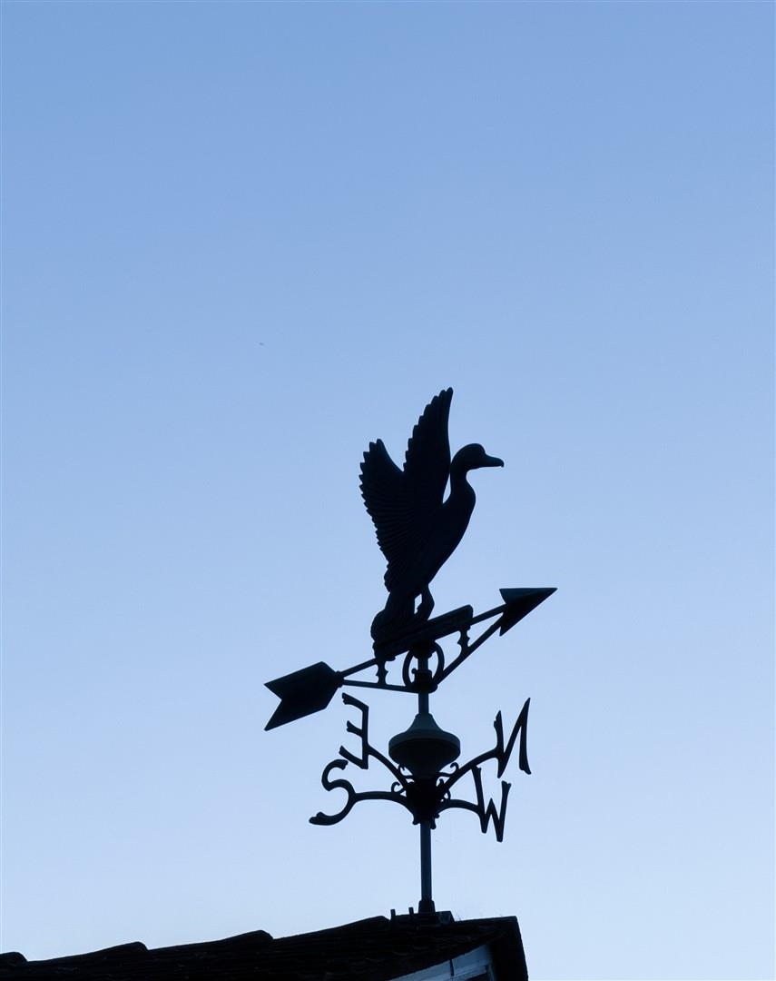 Detail Gallery Image 44 of 53 For 48 Bonita Court, Walnut Creek,  CA 94595 - 3 Beds | 2 Baths