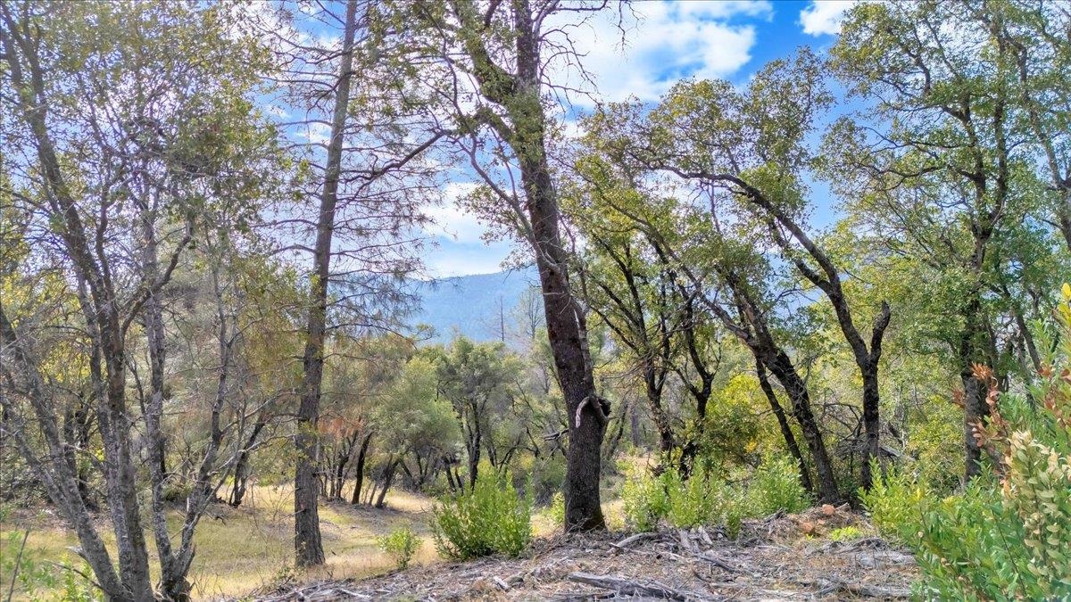 Detail Gallery Image 12 of 31 For 00000 Montgomery Rd, Sonora,  CA 95370 - – Beds | – Baths