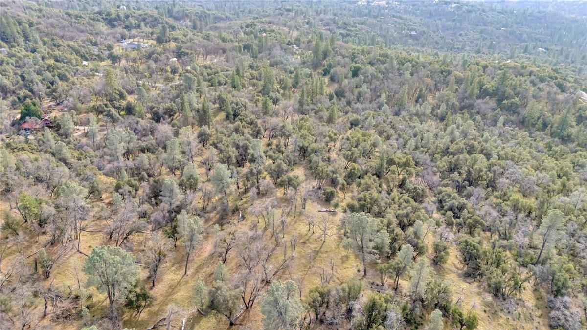 Detail Gallery Image 14 of 31 For 00000 Montgomery Rd, Sonora,  CA 95370 - – Beds | – Baths