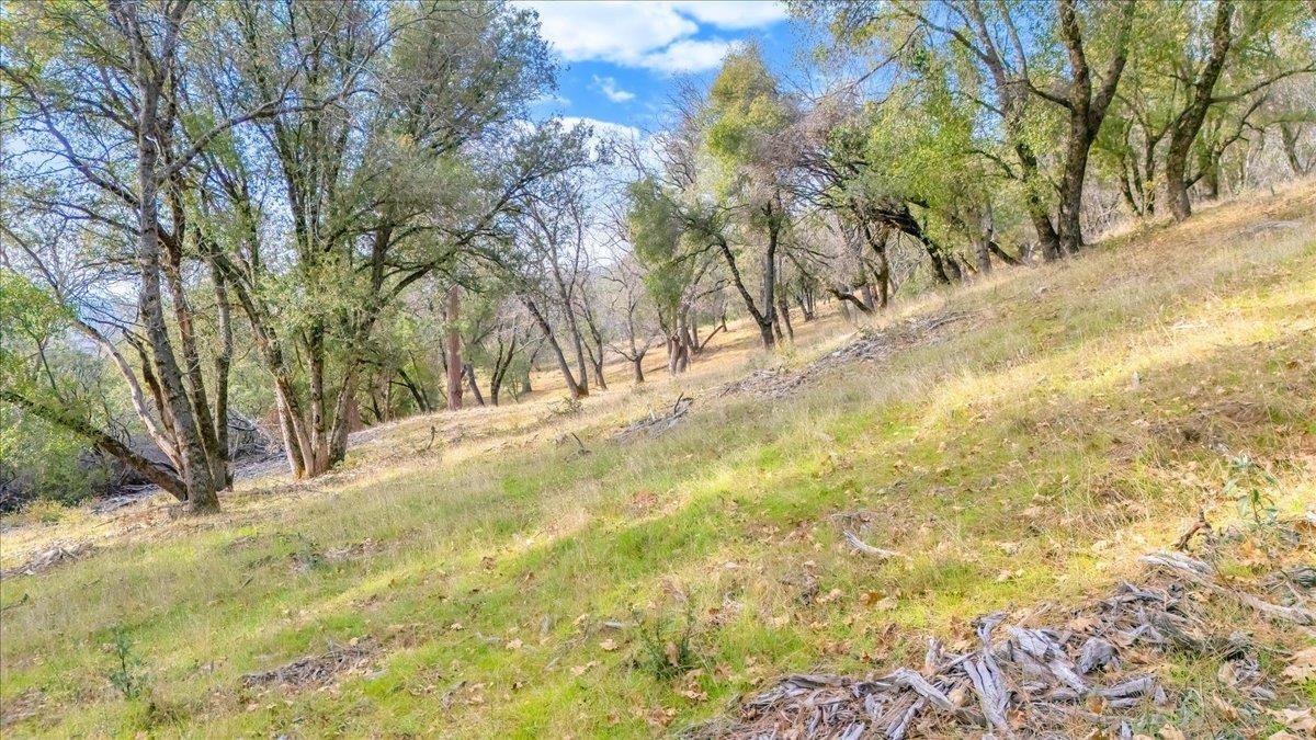 Detail Gallery Image 18 of 31 For 00000 Montgomery Rd, Sonora,  CA 95370 - – Beds | – Baths