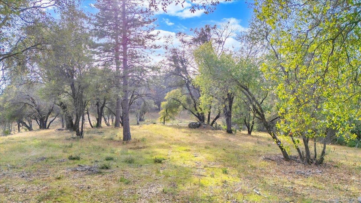 Detail Gallery Image 19 of 31 For 00000 Montgomery Rd, Sonora,  CA 95370 - – Beds | – Baths