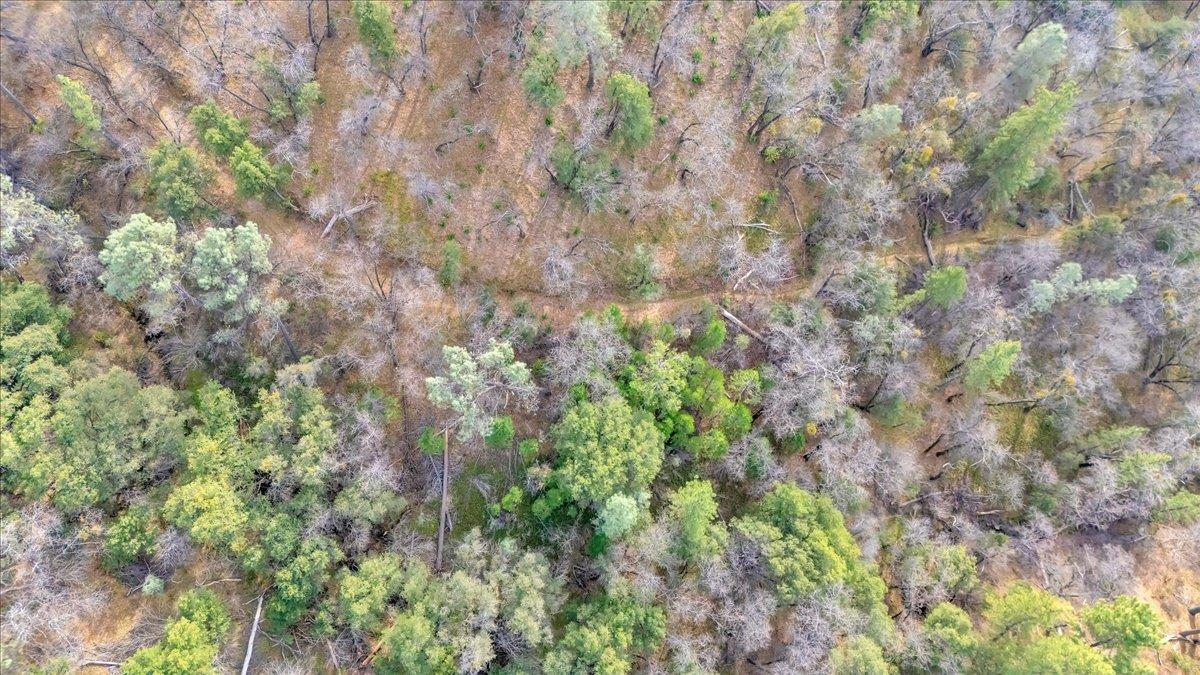 Detail Gallery Image 20 of 31 For 00000 Montgomery Rd, Sonora,  CA 95370 - – Beds | – Baths