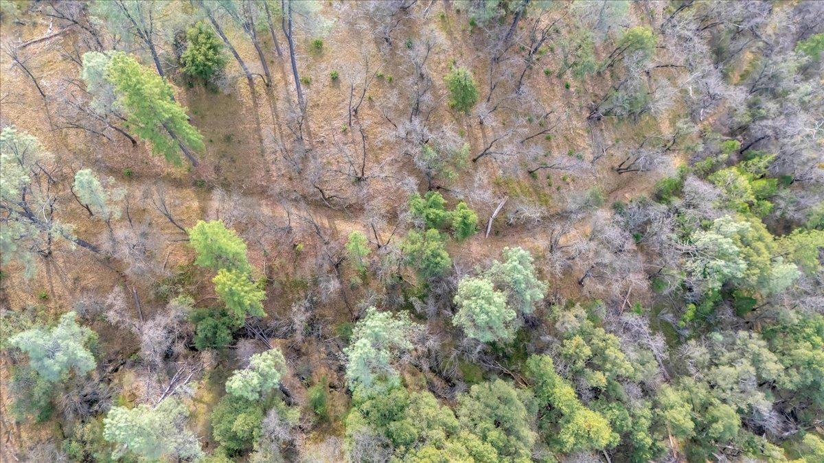 Detail Gallery Image 21 of 31 For 00000 Montgomery Rd, Sonora,  CA 95370 - – Beds | – Baths