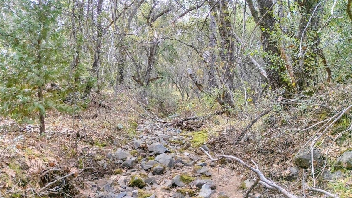 Detail Gallery Image 23 of 31 For 00000 Montgomery Rd, Sonora,  CA 95370 - – Beds | – Baths