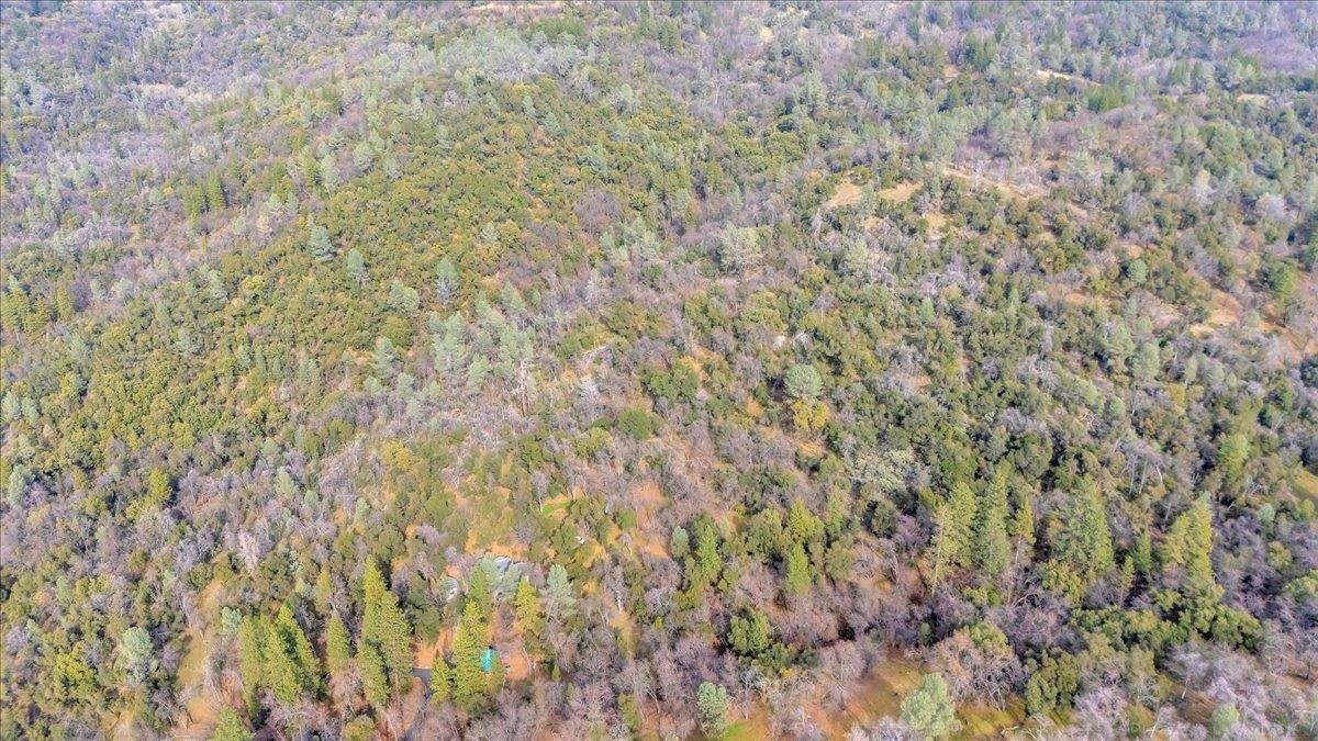 Detail Gallery Image 27 of 31 For 00000 Montgomery Rd, Sonora,  CA 95370 - – Beds | – Baths