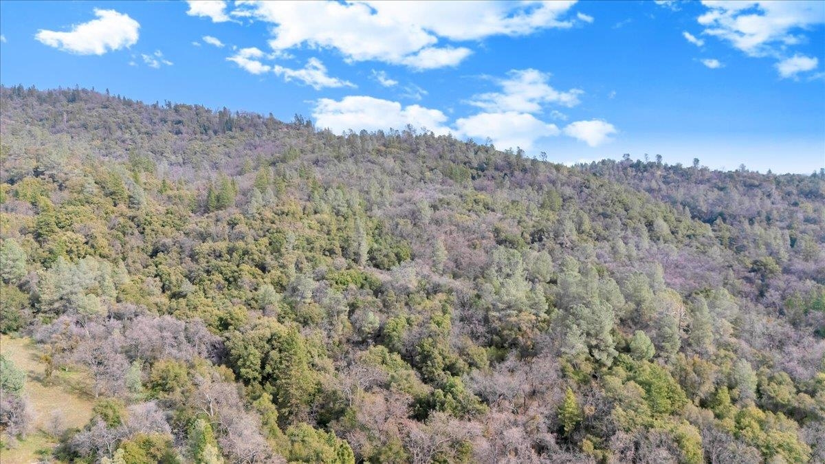 Detail Gallery Image 30 of 31 For 00000 Montgomery Rd, Sonora,  CA 95370 - – Beds | – Baths