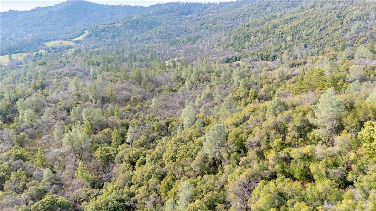 Detail Gallery Image 31 of 31 For 00000 Montgomery Rd, Sonora,  CA 95370 - – Beds | – Baths