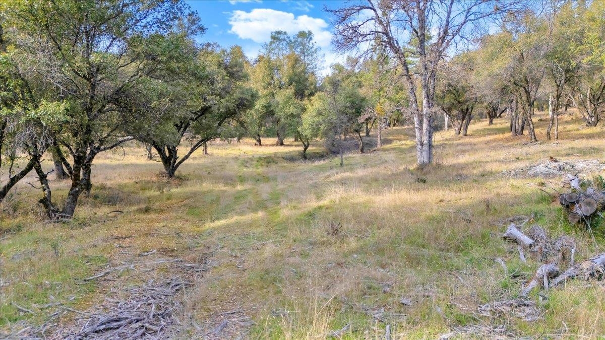 Detail Gallery Image 5 of 31 For 00000 Montgomery Rd, Sonora,  CA 95370 - – Beds | – Baths