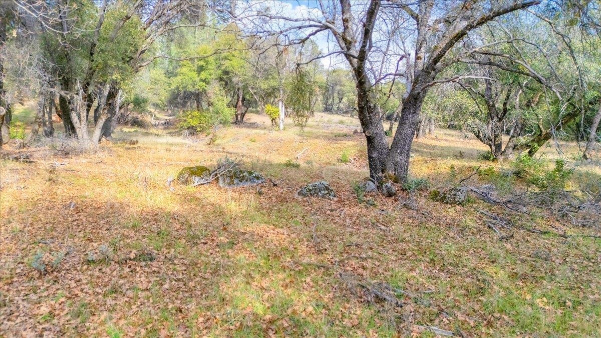 Detail Gallery Image 6 of 31 For 00000 Montgomery Rd, Sonora,  CA 95370 - – Beds | – Baths