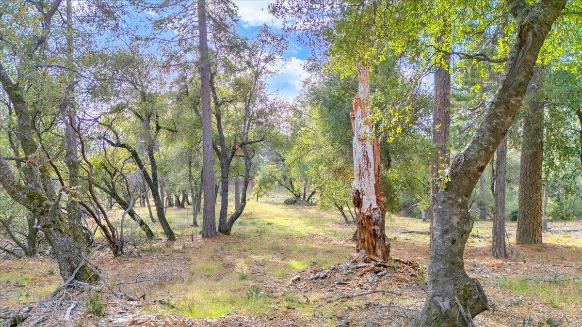 Detail Gallery Image 7 of 31 For 00000 Montgomery Rd, Sonora,  CA 95370 - – Beds | – Baths