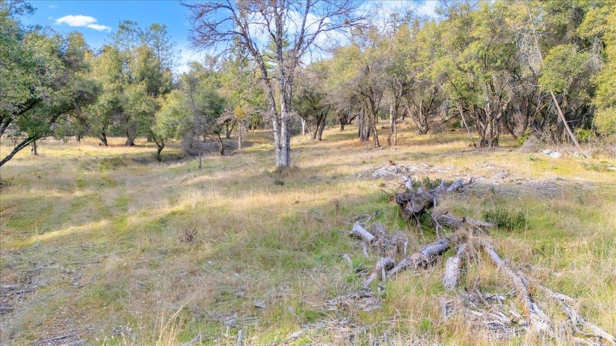 Detail Gallery Image 8 of 31 For 00000 Montgomery Rd, Sonora,  CA 95370 - – Beds | – Baths