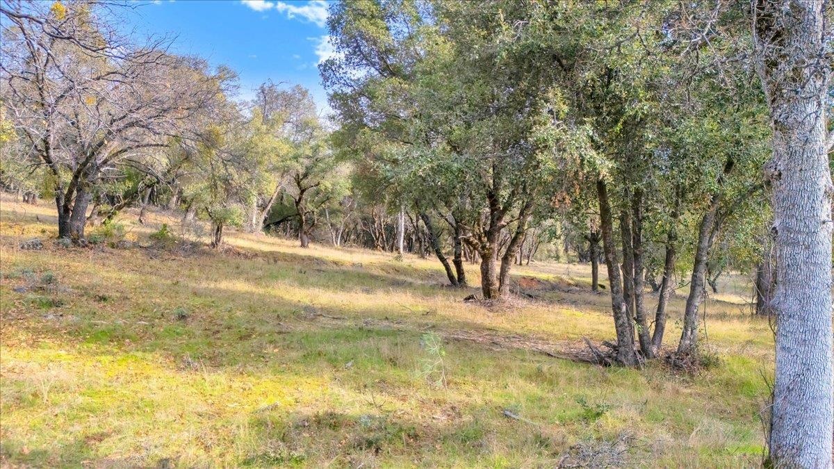 Detail Gallery Image 10 of 31 For 00000 Montgomery Rd, Sonora,  CA 95370 - – Beds | – Baths