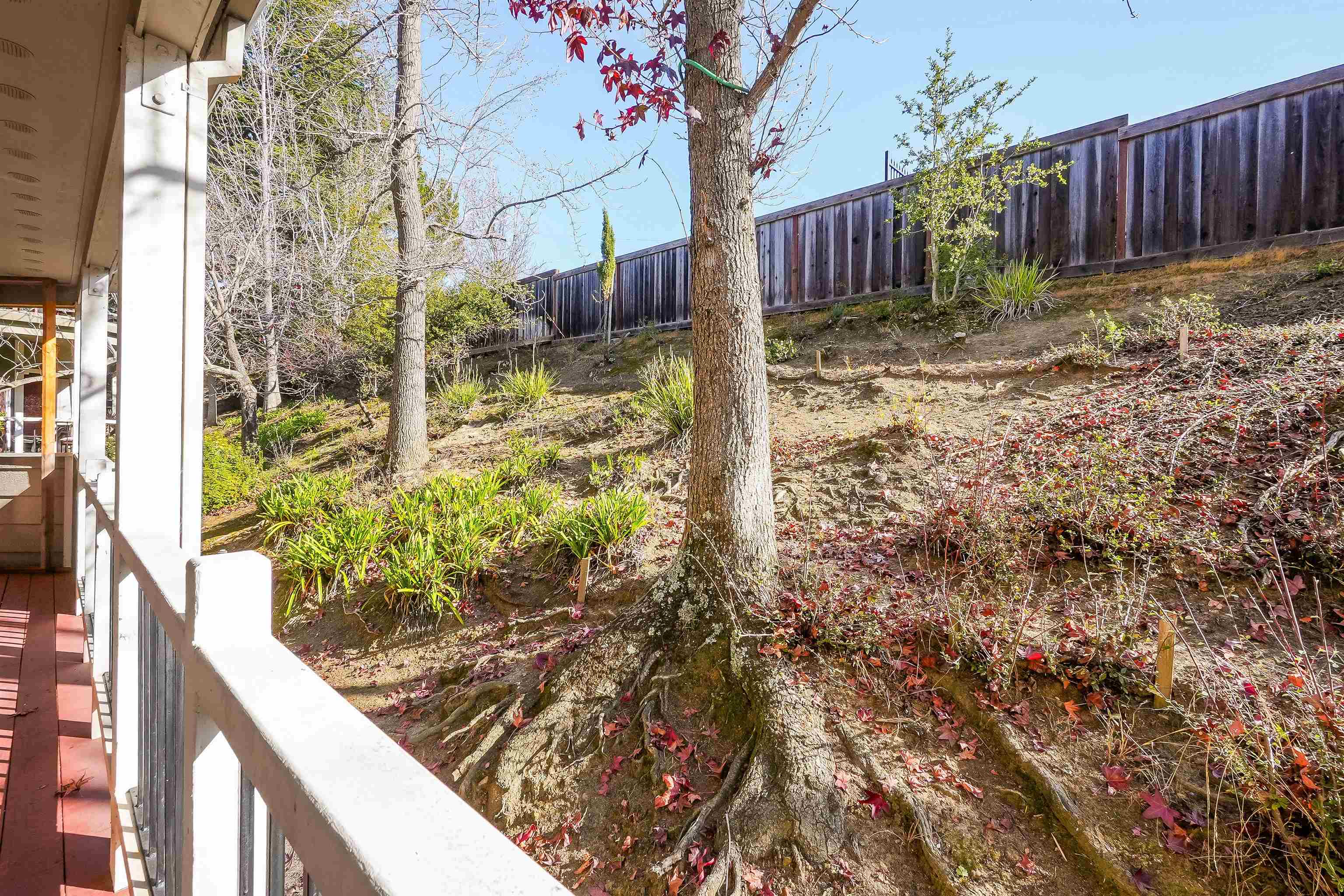 Photo #27: 41123216 Listing: Photo #27