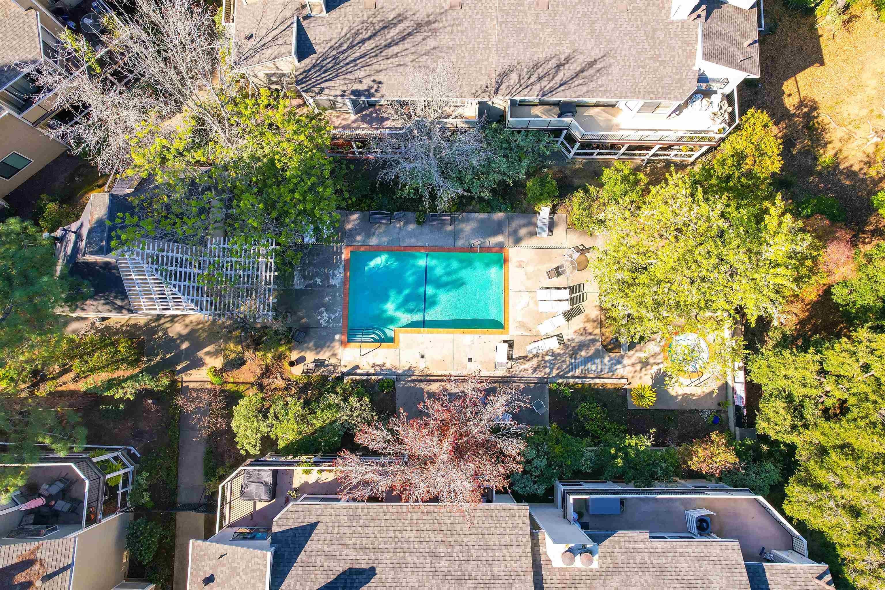 Photo #30: 41123216 Listing: Photo #30