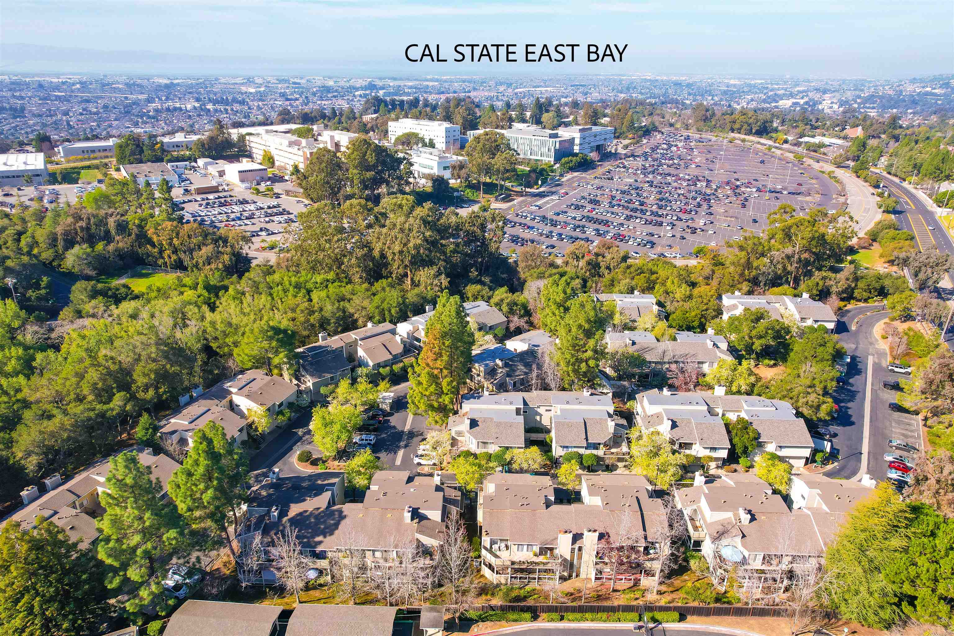 Photo #31: 41123216 Listing: Photo #31