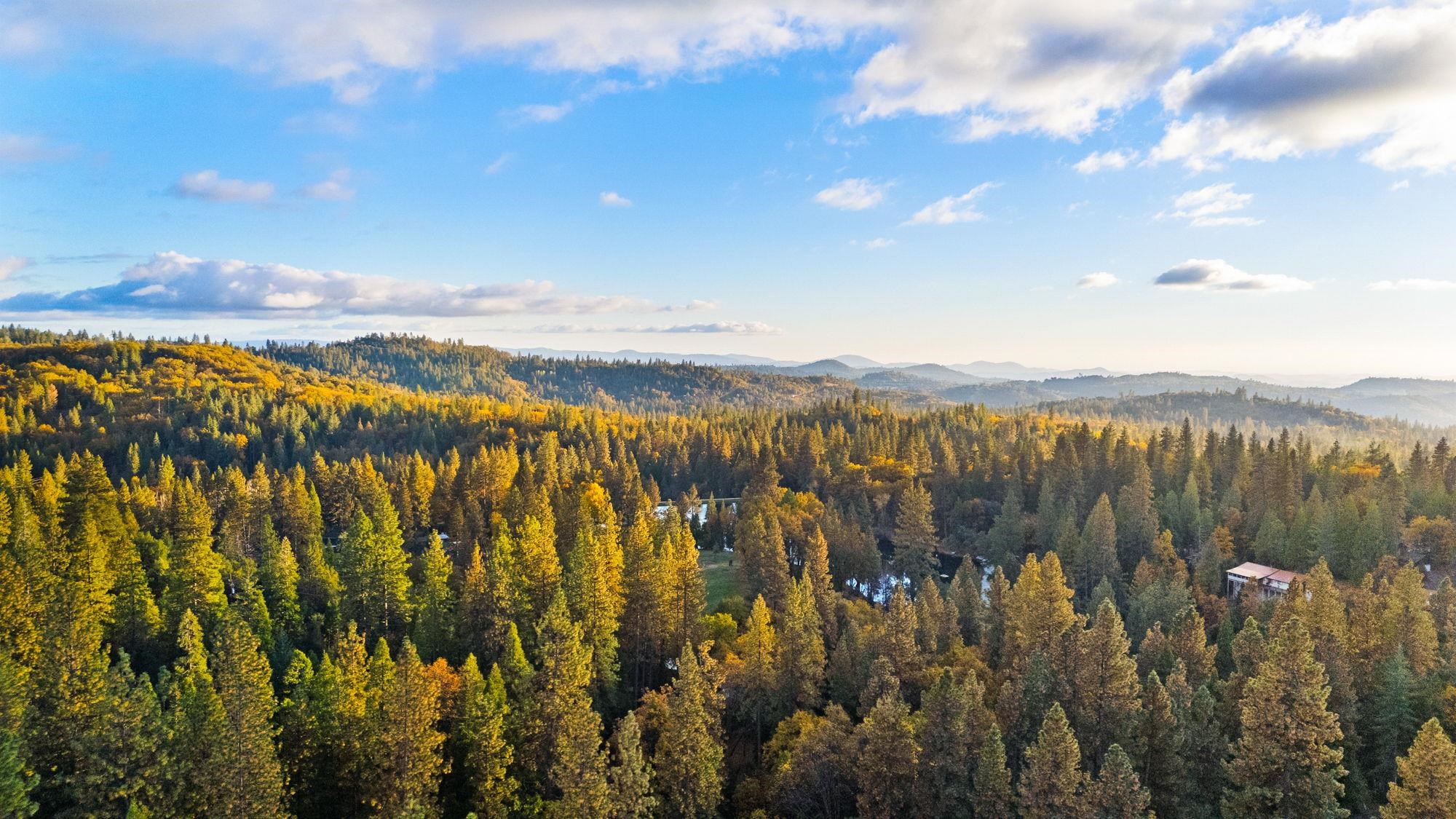 Detail Gallery Image 21 of 23 For 17851 Robin Rd, Twain Harte,  CA 95383 - 4 Beds | 3 Baths