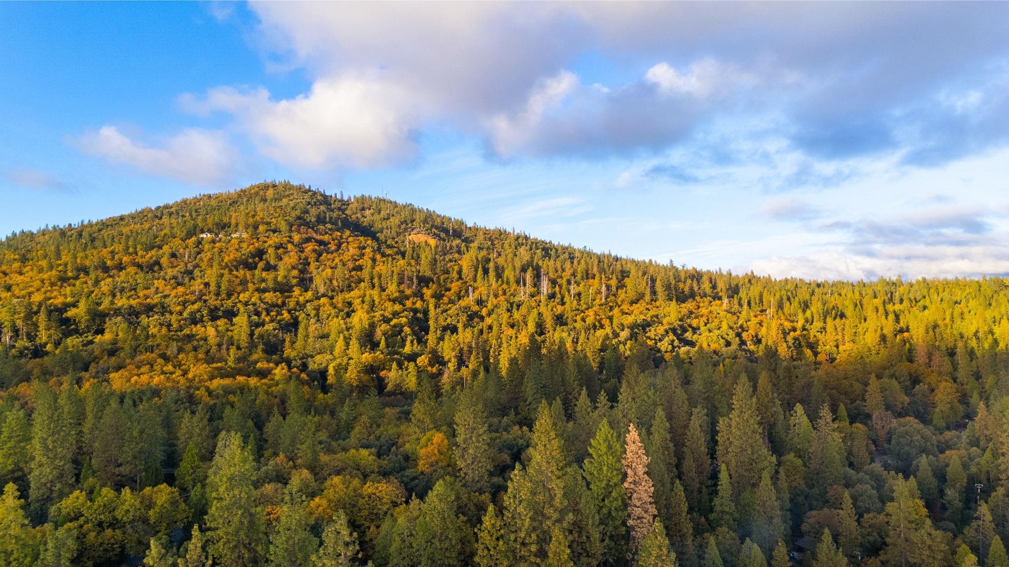 Detail Gallery Image 23 of 23 For 17851 Robin Rd, Twain Harte,  CA 95383 - 4 Beds | 3 Baths