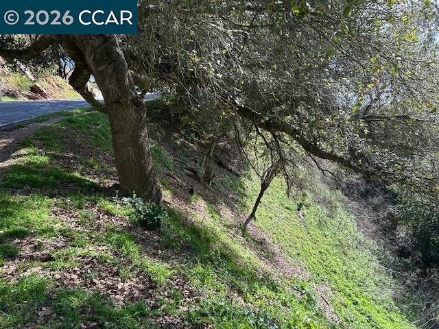 6201 Skyline Blvd, Oakland CA 94611 — photo 11