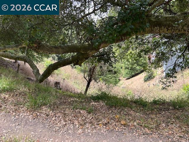 Detail Gallery Image 12 of 12 For 6201 Skyline Blvd, Oakland,  CA 94611 - – Beds | – Baths