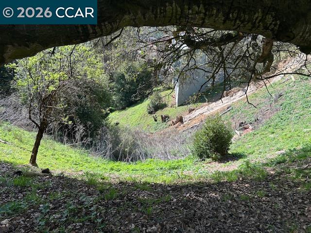 6201 Skyline Blvd, Oakland CA 94611 — photo 15