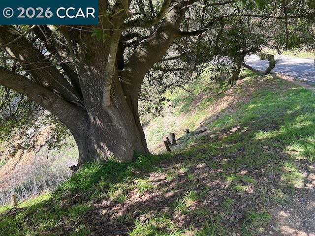 6201 Skyline Blvd, Oakland CA 94611 — photo 5