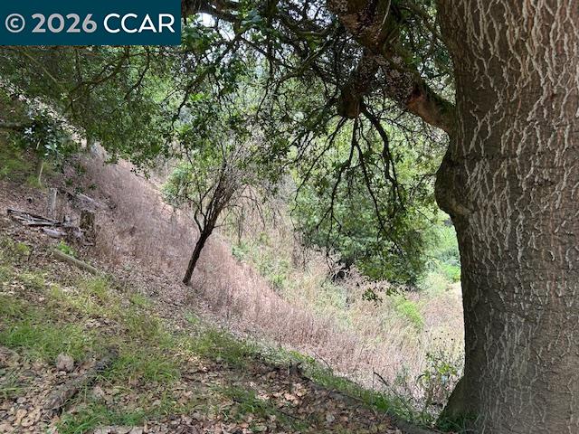 Detail Gallery Image 8 of 12 For 6201 Skyline Blvd, Oakland,  CA 94611 - – Beds | – Baths